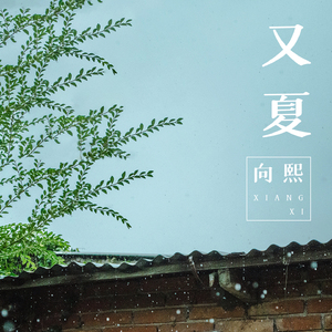 户外日女人的大黑逼流水浪叫的视频
